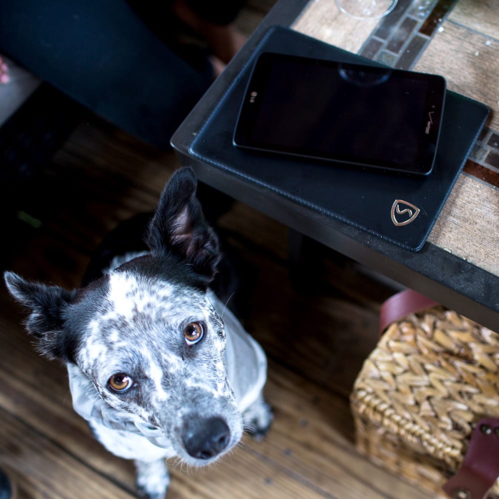 Tablet pad designed to reduce wireless radiation exposure Puppy
