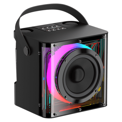 Sway Minioke DUET 20W Speaker with Dual Wireless Microphones Black by Sway