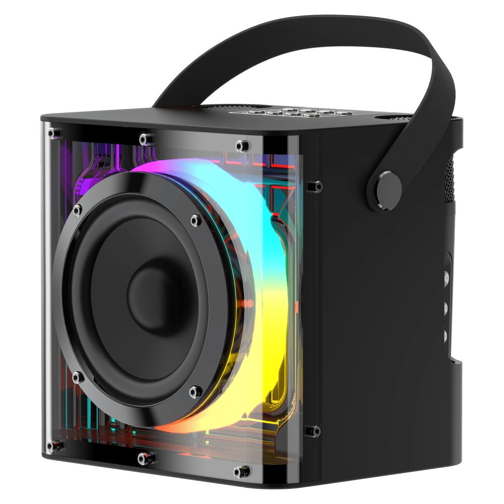 Sway Minioke DUET 20W Speaker with Dual Wireless Microphones Black by Sway