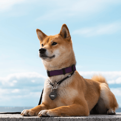 Sway FINDR Tracker Tab with Silcone Cover and Hook/Holder for Apple Devices Black by Sway - Electrostatic Innovations